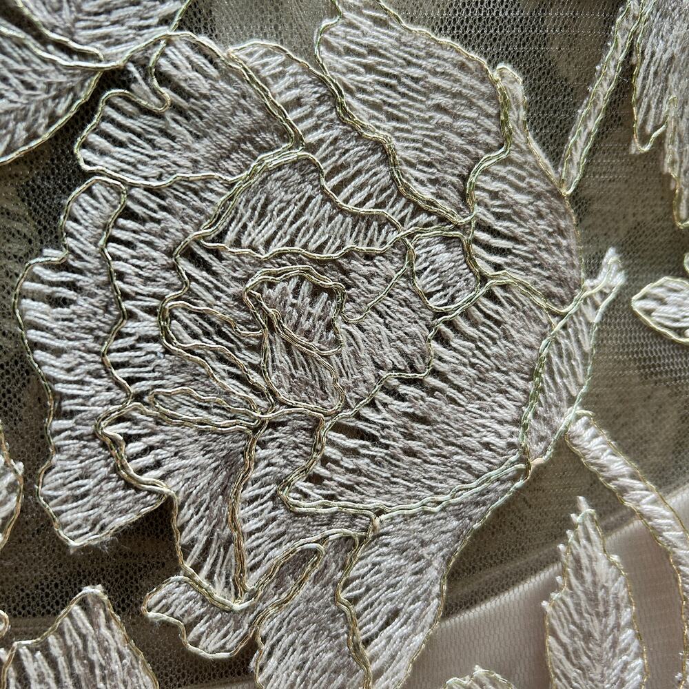 Tadashi Shoji Chloe Embroidered Lace Tulle Illusion Boat Neck Gold Dress 10 - Picture 5 of 16